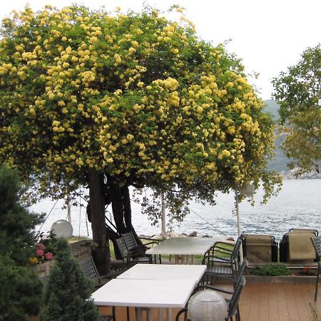 ברנצונה סול גארדה Piccolo Hotel Direkt Am See מראה חיצוני תמונה
