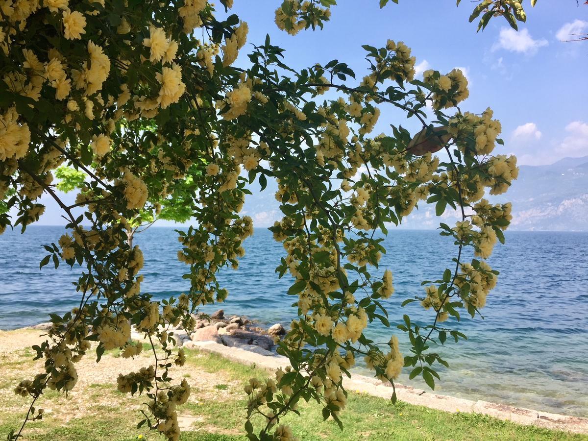 ברנצונה סול גארדה Piccolo Hotel Direkt Am See מראה חיצוני תמונה
